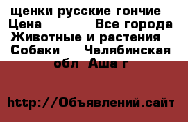 щенки русские гончие › Цена ­ 4 000 - Все города Животные и растения » Собаки   . Челябинская обл.,Аша г.